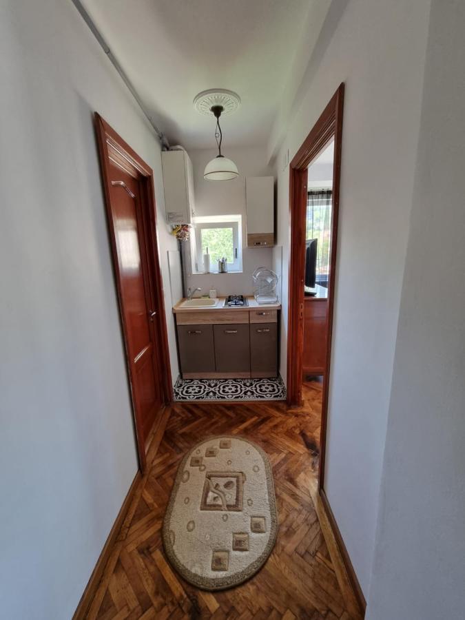 Toma Boutique Daire Braşov Dış mekan fotoğraf