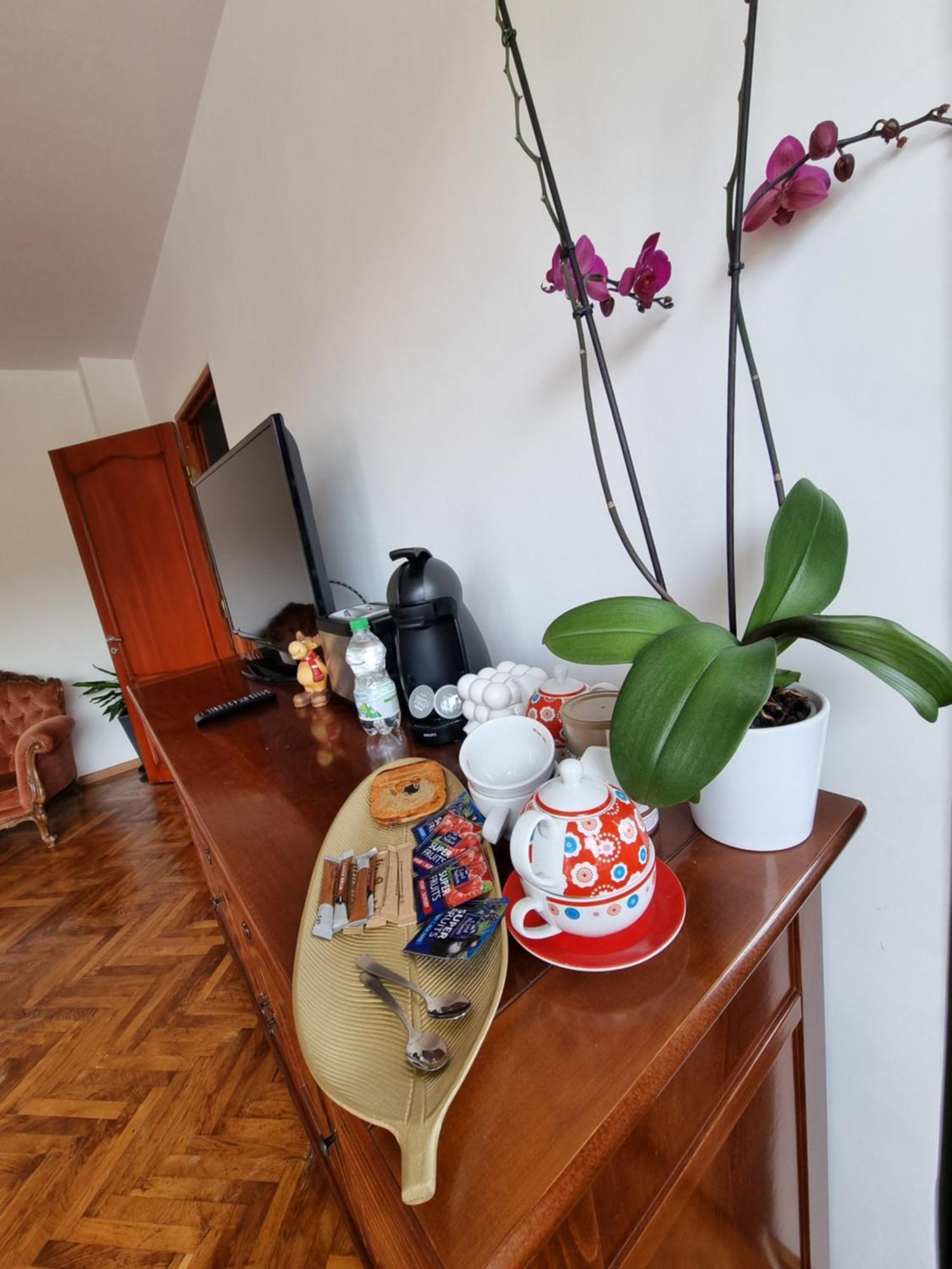 Toma Boutique Daire Braşov Dış mekan fotoğraf